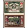 Allemagne - Notgeld - Driburg - 5 mark - 09/1921 - Etat : SPL